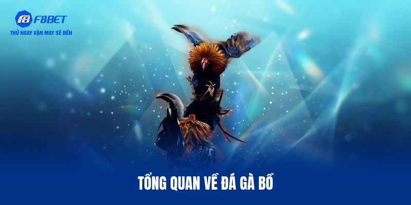 Sơ lược hình thức đá gà bồ
